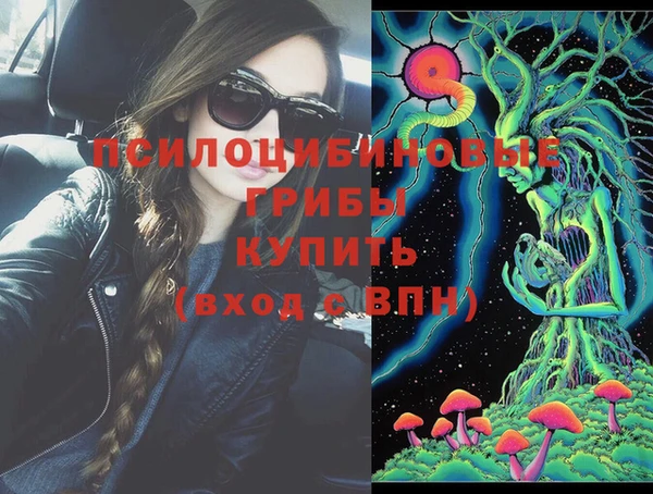 PSILOCYBIN Арсеньев