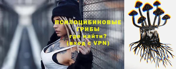 ALPHA-PVP Аркадак