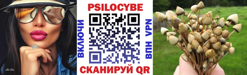 где купить наркоту  Слюдянка  блэк спрут зеркало  Галлюциногенные грибы мицелий 